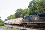 Tropicana or CSX? 